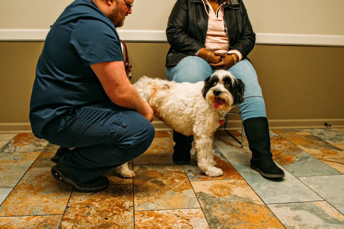 Two people with dog